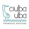 Tarp gražiausių Lietuvos įmonių pavadinimų –„Čiulba ulba“ pramogų organizatoriai Birštone
