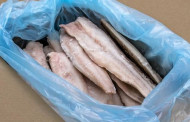 Klaipėdos žuvininkystės produktų aukcionas į vietos rinką tieks pigesnę šviežią apdorotą Baltijos žuvį