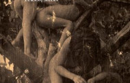 Knygos „Pieno ežeras. Tukanų  mitas“ pristatymas I. Simonaitytės bibliotekoje