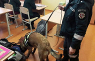 Tarnybiniai policijos šunys tikrino Klaipėdos r. moksleivių kuprines