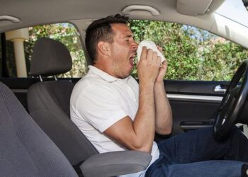 Kodėl alergija žiedadulkėms pavojingiausia miesto žmonėms?