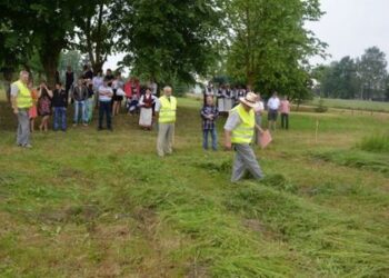 Kad šienapjūtė būtų saugi