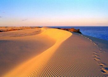 Ilgiausiems Europoje Kuršių nerijos smėlio paplūdymams – dar vienas įvertinimas