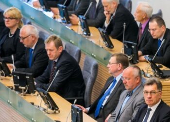 Seimo valdantieji pasišaipė iš Lietuvos šaulių sąjungos