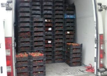 Mokesčių specialistai, gavę informacijos iš pasieniečių, nutraukė pakelės didmeninę prekybą lenkiškomis braškėmis