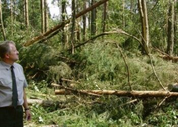Miškus krečia ne tik politinės audros, bet ir stichija