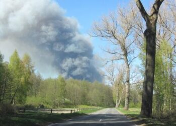 Ribojamas lankymasis Neringos miškuose
