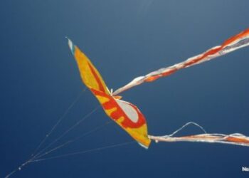 Stalo šventės dieną Palangai rekordą neš aitvarai