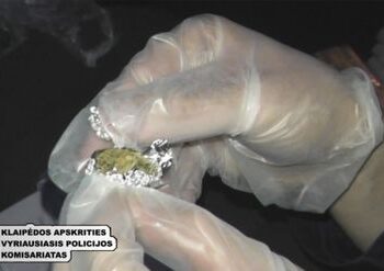 Uostamiesčio pareigūnams ruduo – „viščiukų skaičiavimo“ metas