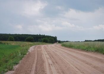 Kas asfaltuos kaimo kelius: R. Sinkevičius ar V. Baltraitienė?