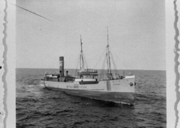 Prie Lietuvos laivyno ištakų