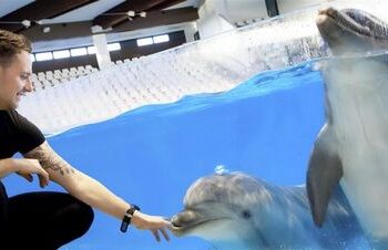 Jūrų muziejus senuosius metus kviečia palydėti „Mėlynam mieste“