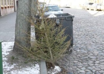 Atsisveikinkime su eglutėmis pagarbiai