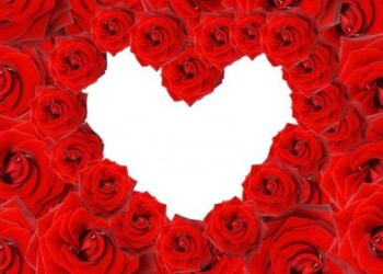 Sudarytas išsamiausias Lietuvoje meilės infografikas