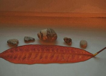 Juozo Pociaus fotografikos parodos „Reprodukcija“ atidarymas