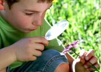 Pirmą kartą rajone bus rengiamas gamtos mokslų konkursas