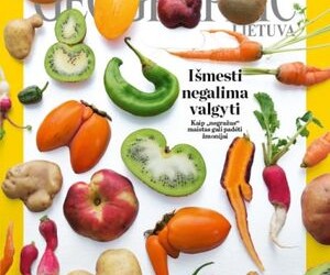 Paprasti būdai, kaip kiekvienam sumažinti iššvaistomo maisto kiekį