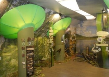 Ką veikti Žemaitijos nacionaliniame parke pavasarį? Kviečiame apsilankyti