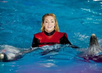 Sugrįžta projektas „Delfinai ir žvaigždės“