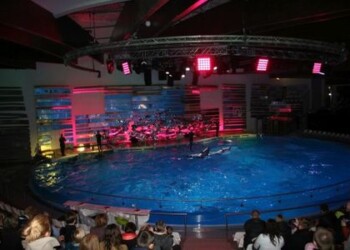 Apie Lietuvos jūrų muziejų – iš pirmų lūpų