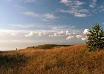 Renkamas Kuršių nerijos nacionalinio parko paukštis