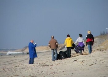 Neringa balandį skelbia aplinkos tvarkymo ir švaros mėnesiu