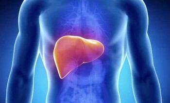 Tyrimas: lietuviai klaidingai įsitikinę, jog kepenis gali skaudėti