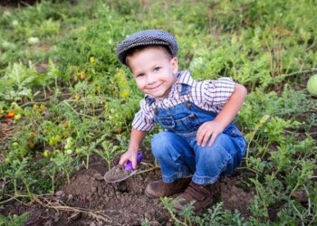 Paramos smulkiesiems savivaldybės neignoruoja