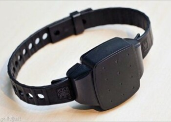 Pradedama taikyti nauja kardomoji priemonė – intensyvi priežiūra su apykoje