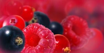 Šaldyti, konservuoti ar valgyti šviežius?