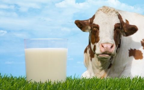 Plungės rajono pieno gamintojai piliečiams nemokamai dalins pieną