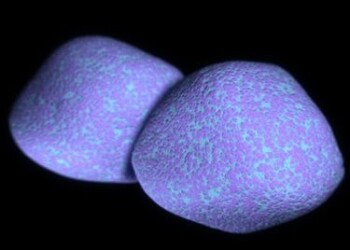 Dėl lėtinės ligos nusilpusį imunitetą atakuoja pneumokokinė infekcija