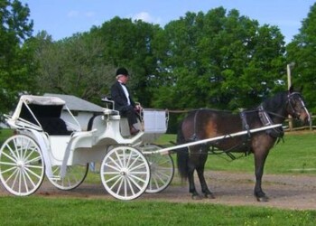 Klaipėdos senamiestyje ir Smiltynėje vėl važinės karietos