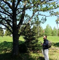 Atidaromos didelio lankytojų dėmesio sulaukusios gamtos lobių trasos