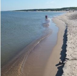 Palanga pasirengusi priimti svečius: laukia švarūs paplūdimiai bei gausus renginių pasirinkimas