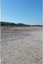 Palanga pasirengusi priimti svečius: laukia švarūs paplūdimiai bei gausus renginių pasirinkimas