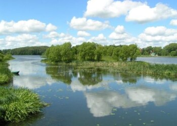 Atlikti Plungės rajono maudyklų vandens kokybės tyrimai