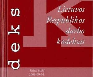 Darbo kodeksas turi užtikrinti socialinį darbuotojų saugumą