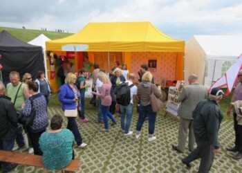 Naisių vasaros festivalyje pristatyti Šiauliai