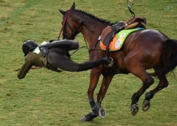 J.Kinderio olimpinės viltys dužo jojimo rungtyje, čempionu tapo rusas