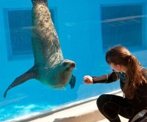 Jūrų muziejus įžiebs mokslo ir žinių švyturį