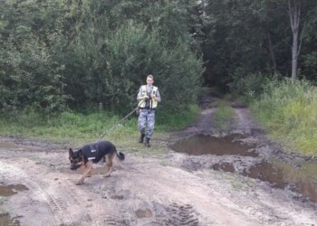 Pareigūnų rasta Kelmės rajono miške pasiklydusi senolė dėkojo savo gelbėtojams (video)