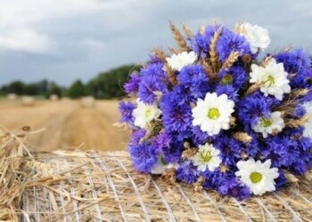 Vasaros palydėjimo vakaras Plateliuose „Vakarienė gėlėtai“