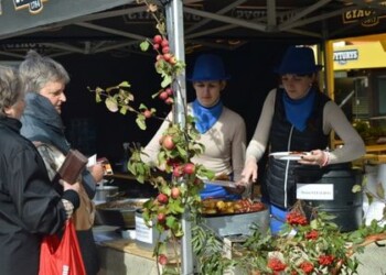 Savaitgalį Palangoje šurmuliuos Stalo šventė