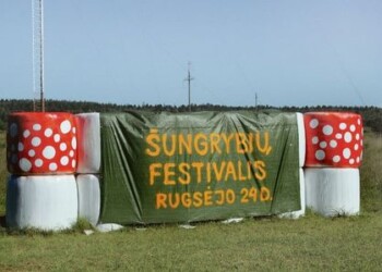 Kviečia rinkti gražiausią šungrybį