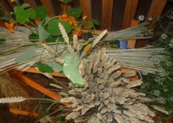 Mykolinių šventė Rietave