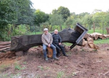 Atnaujintos Raganų kalno skulptūros