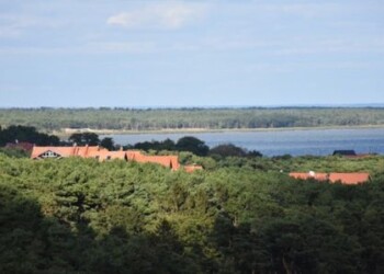 Trūkstamoms paslaugoms – mažesni mokesčiai