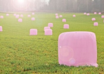 Ūkininkai gelbsti savo krašto moterų gyvybes