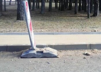 Klaipėdos I. Kanto gatvėje bus keičiami šaligatviai ir persodinami medžiai